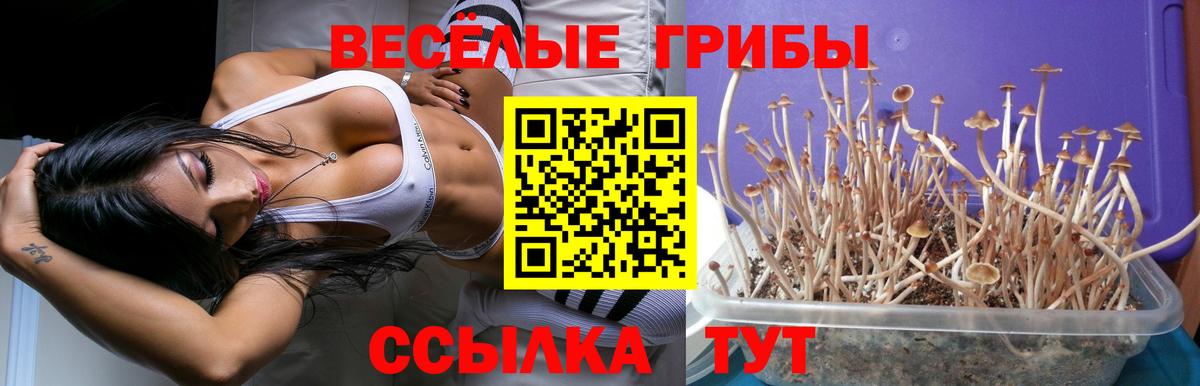 Галлюциногенные грибы Cubensis Кохма