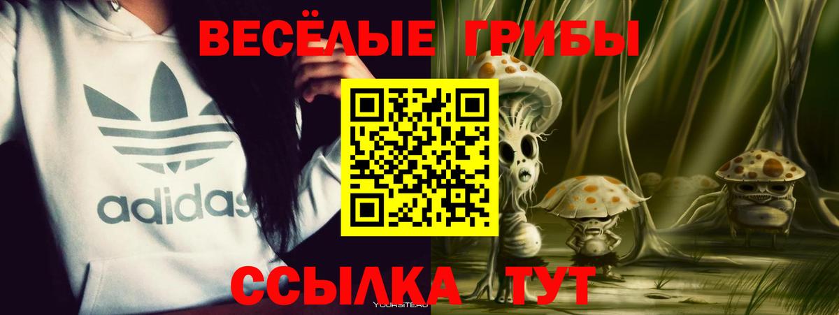 Псилоцибиновые грибы MAGIC MUSHROOMS  Вход с VPN  Кохма 